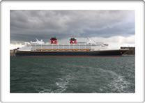 DISNEY MAGIC         9126807  